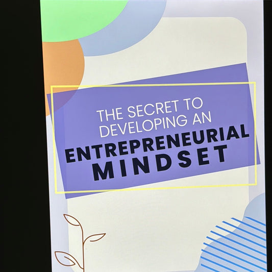 The Secret To Developing An Entrepreneurial Mindset Ebook