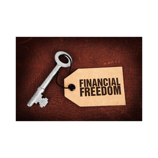 The Entrepreneur's Guide To Financial Freedom