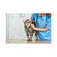 Pet Vet Planner