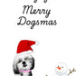 Dog Christmas Card